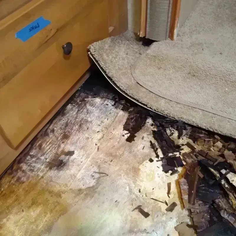 Best Wood Floor Water Damage Service in San Manuel, AZ